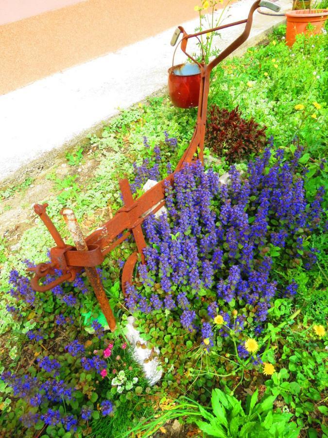 Apartment Smilje Šibenik Buitenkant foto